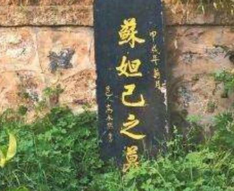 商朝的灭亡真的要怪苏妲己吗 事实证明她被人误解了几千年