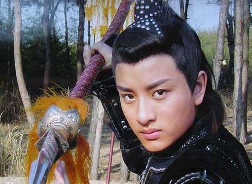 杨延昭是什么样的人