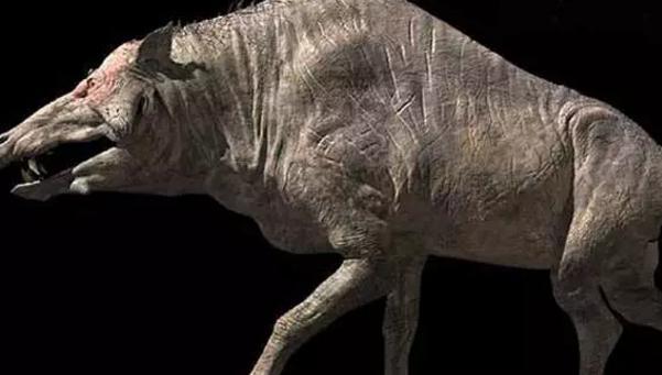 史前的猪有多厉害