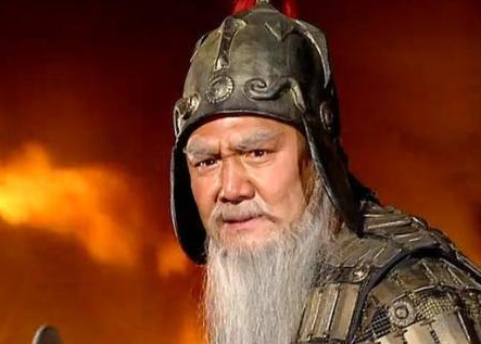 三国时期的名将儿子大多数都是酒囊饭袋 唯有此人儿子是一代名将