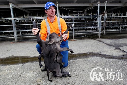 乌克兰一母狗生下人形“怪物”