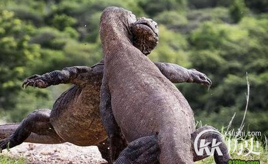 恐龙们是这样“秀恩爱”的 你知道了吗