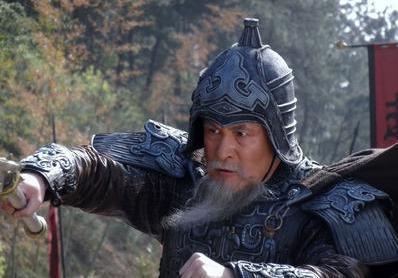 武将文鸯逼死了诸葛是真的吗