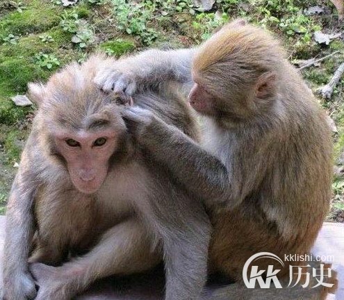 从小被骗!中国小孩一直信以为真的36个谎言