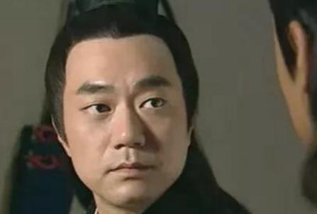 卫青的儿子是平阳公主生的吗