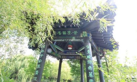 冠冕不绝的琅琊王氏:有600多人名垂青史