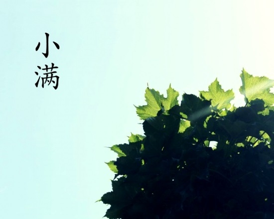 二十四气节之小满 小满是什么意思