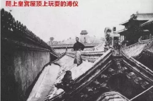 老年溥仪被带回皇宫,看到龙椅沉默良久,幽幽感叹