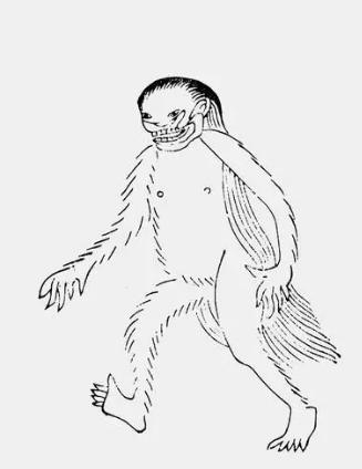 神农架野人就是古人所说的山魈