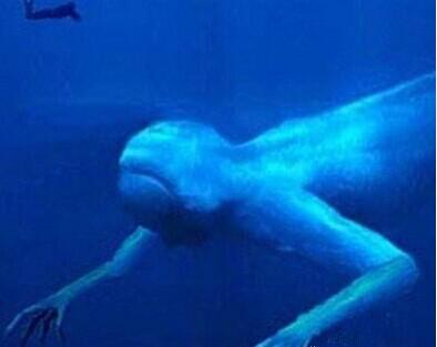 南极发现了神秘的30米高巨人