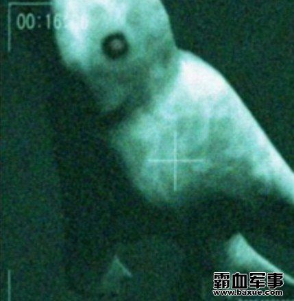 南极发现了神秘的30米高巨人