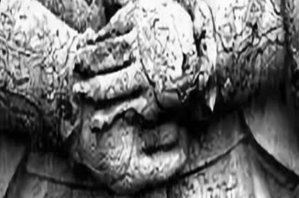 古代寒冷地区打仗,真的会冻掉士兵手指吗