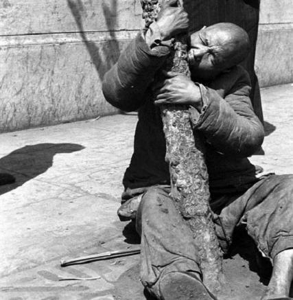1942年河南大饥荒是什么样子的 这件事情间接和谁有关