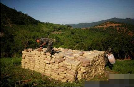 福布斯评全球十大黑帮老大排行 中国竟是他