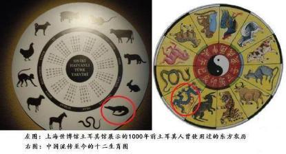 养龙家族驯养的究竟是什么?龙到底存不存在?