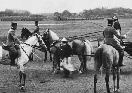 清朝晚期有一只世界顶级部队 为何还是挽救不了灭亡的地步