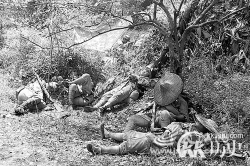 中条山战役惨败的根本原因 八路军不配合国军作战？