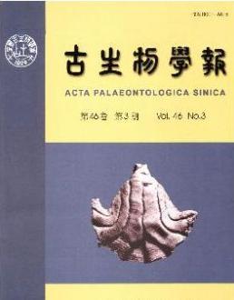 杨钟健从事哪些研究
