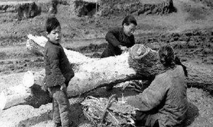 白修德镜头下的1942是什么样的 河南大饥荒到底是什么样子的