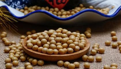 古人做菜时用的都是什么油料呢 一般都放什么油呢