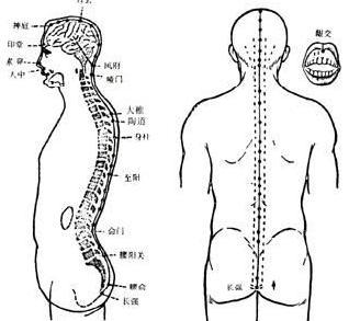 叶天士有着哪些医学著作