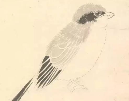 张其翼原来是这样画翎毛！