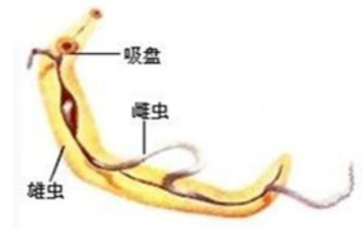 曹操为何在赤壁败给周瑜