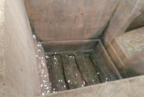 马王堆辛追墓为何完好无损