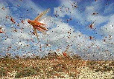 姚崇:他的权谋不但体现了原则性,更体现了灵活性</span>
