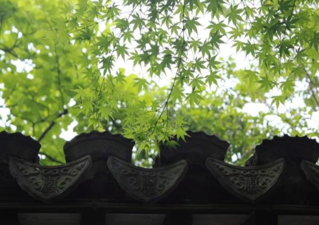 北宋僧人仲殊的一生是怎样的?他留下了哪些诗作?</span>